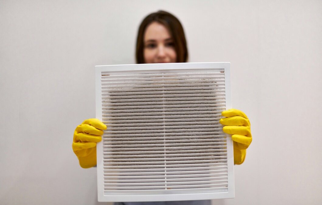 How to Choose the Best Air Filter for Your Home