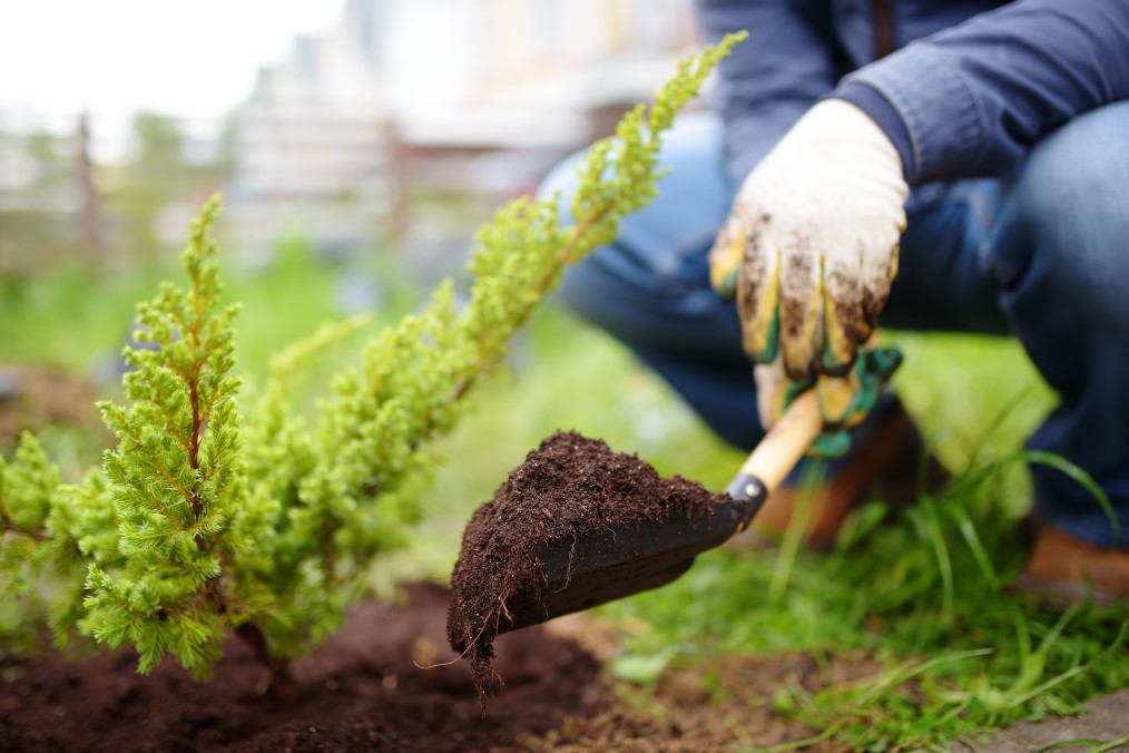 What’s Safe to Plant Around Your HVAC Unit